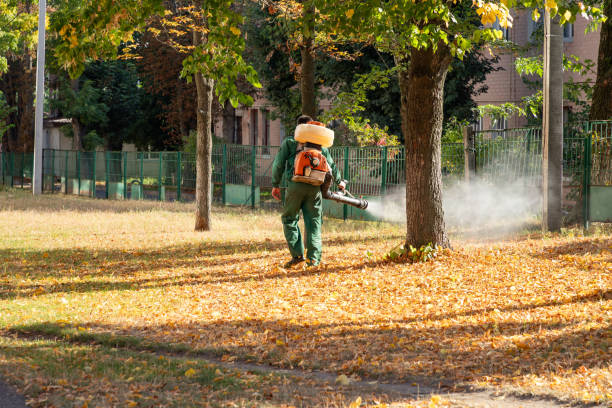 Best Termite Control Services  in Adamstown, MD
