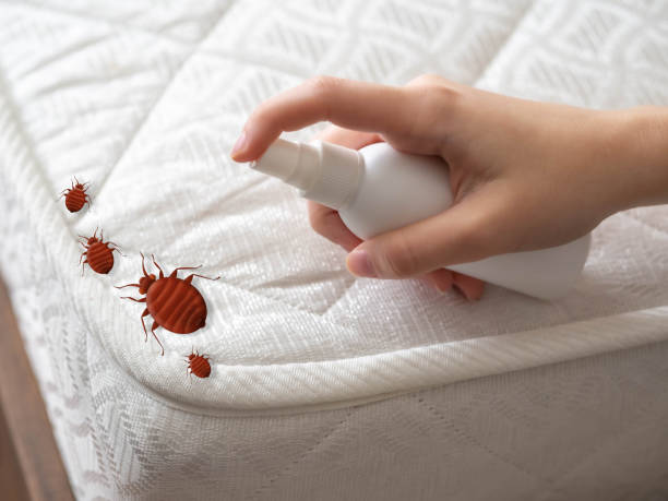 Best Pest Prevention Services  in Adamstown, MD