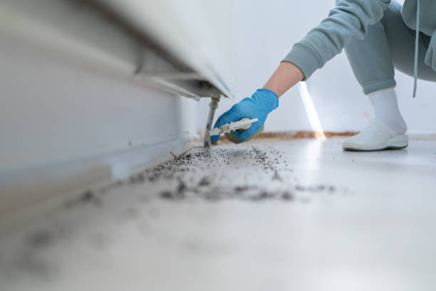 Best Pest Control Near Me in Adamstown, MD